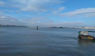 携程怎么了 携程怎么了