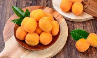 梅子金黄杏子肥全诗 梅子金黄杏子肥全诗