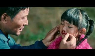 天堂的张望故事原型