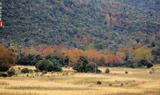 赤橙黄绿青蓝紫图片