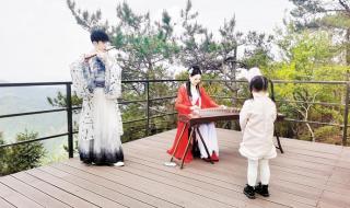 顽皮的杜鹃 顽皮的杜鹃