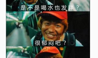 泰囧王宝强表情