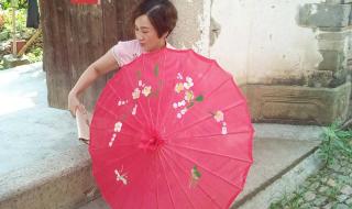 潇潇雨歇抬望眼