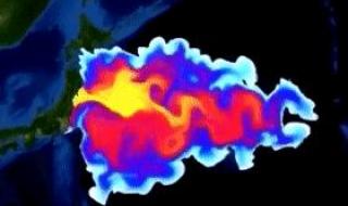 核废水日本排放了吗