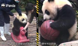 小可爱外挂 小可爱外挂