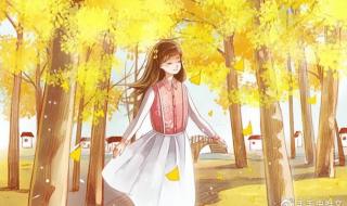 10本好看到爆的快穿文