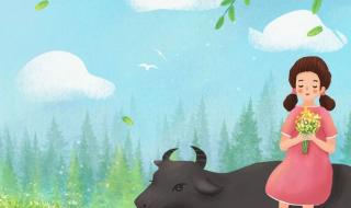 清明节的作文怎么写