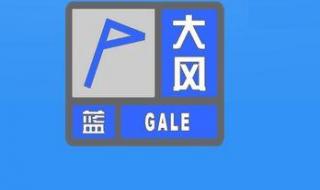 蓝色预警是什么级别