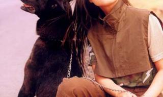 铿锵玫瑰田震歌词 铿锵玫瑰田震歌词