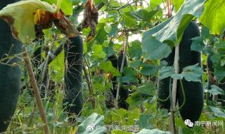 0.7公斤是多少克