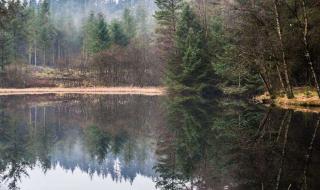 苏格兰是个国家吗 苏格兰是个国家吗