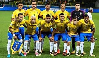 巴西队2010世界杯阵容 巴西队2010世界杯阵容