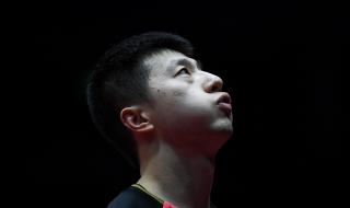 2019乒乓球男子世界杯